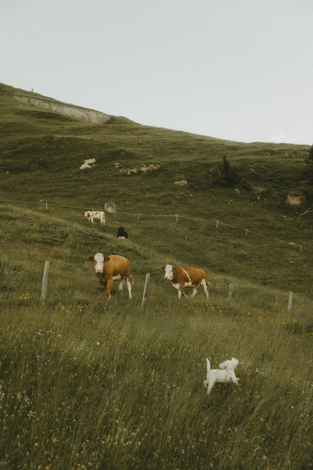 3.GettingReady_LinhSFoto_151