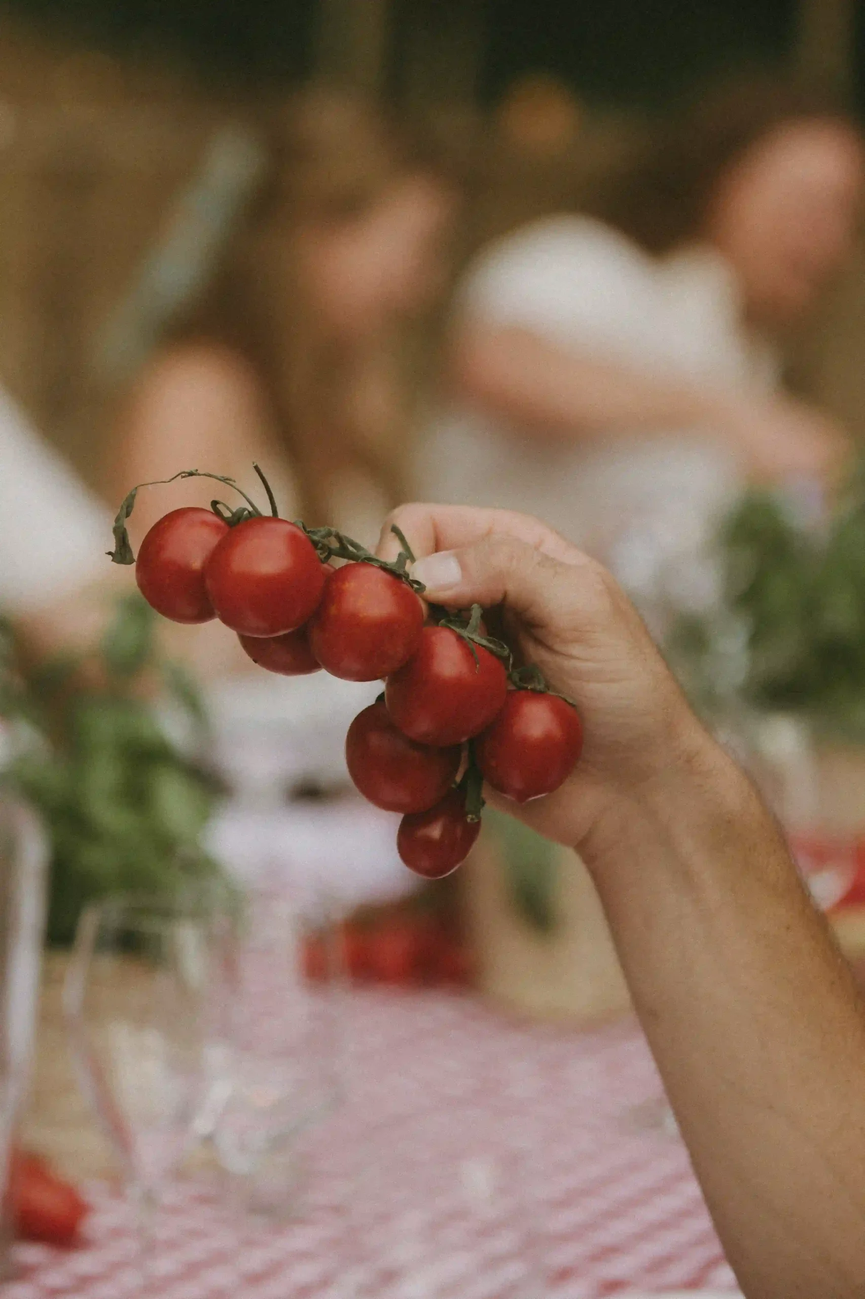Tuscany Wedding_0.K&J_WelcomeDinner_LinhSchroeterFoto_120