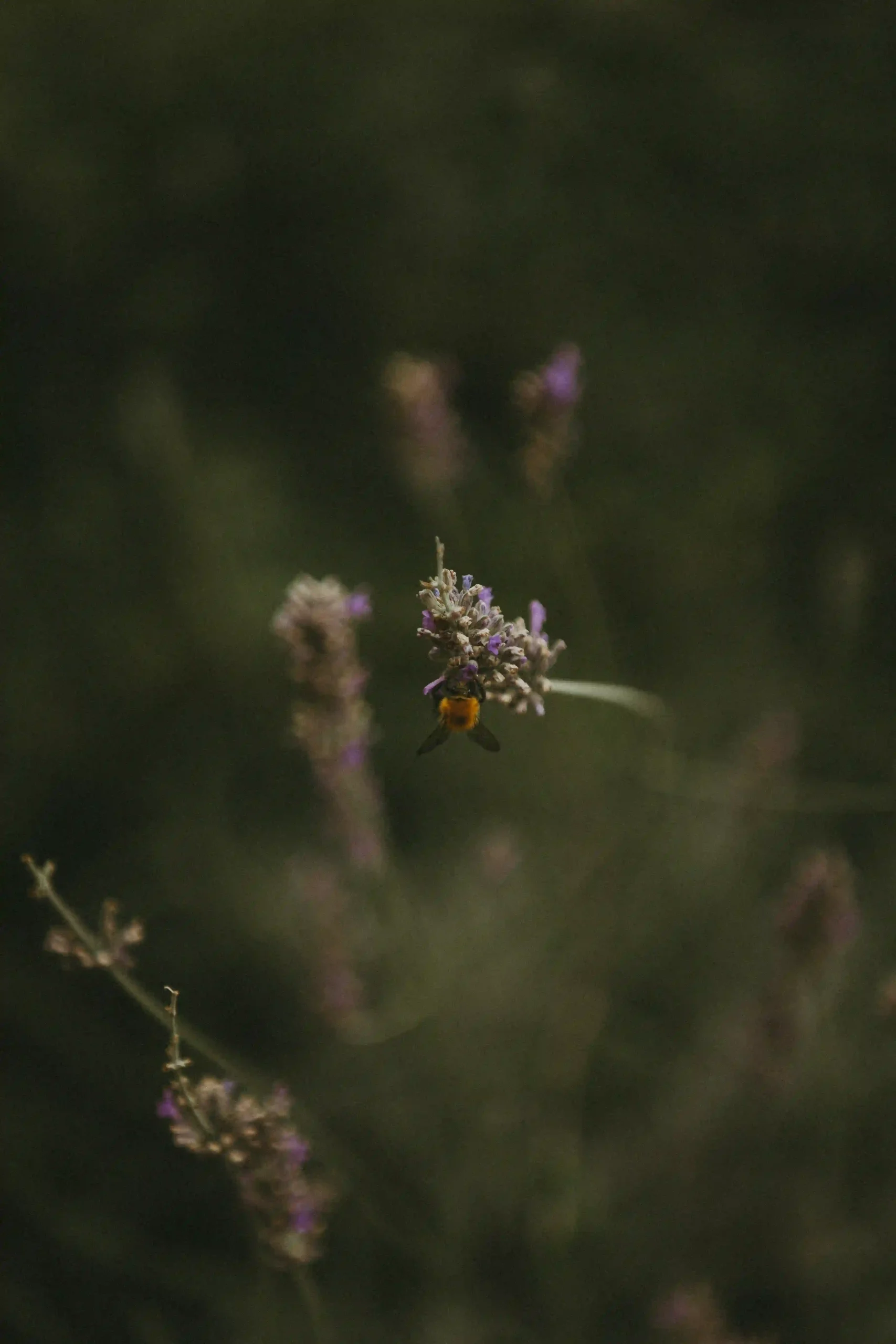 Tuscany Wedding_0.K&J_WelcomeDinner_LinhSchroeterFoto_18