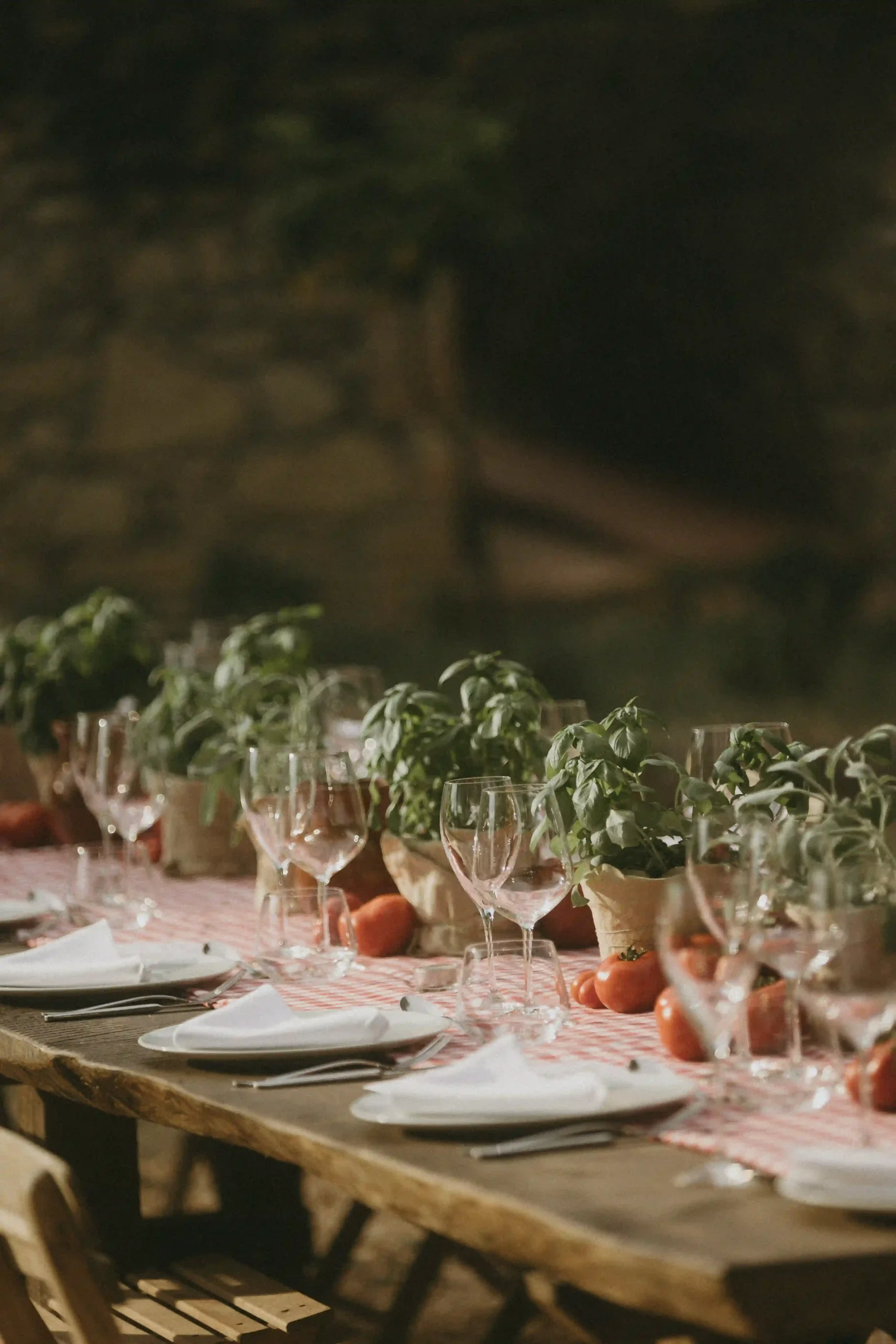 Tuscany Wedding_0.K&J_WelcomeDinner_LinhSchroeterFoto_42