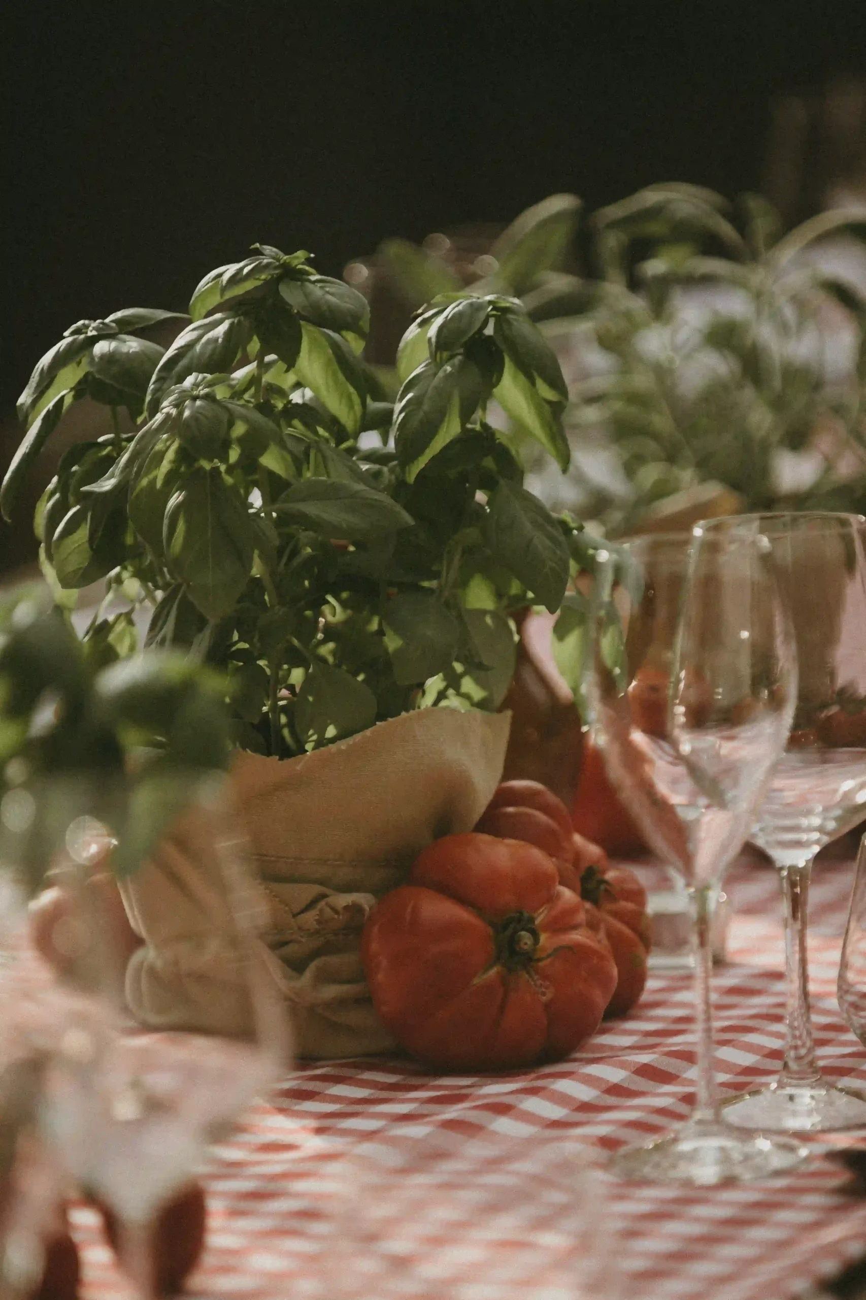 Tuscany Wedding_0.K&J_WelcomeDinner_LinhSchroeterFoto_46