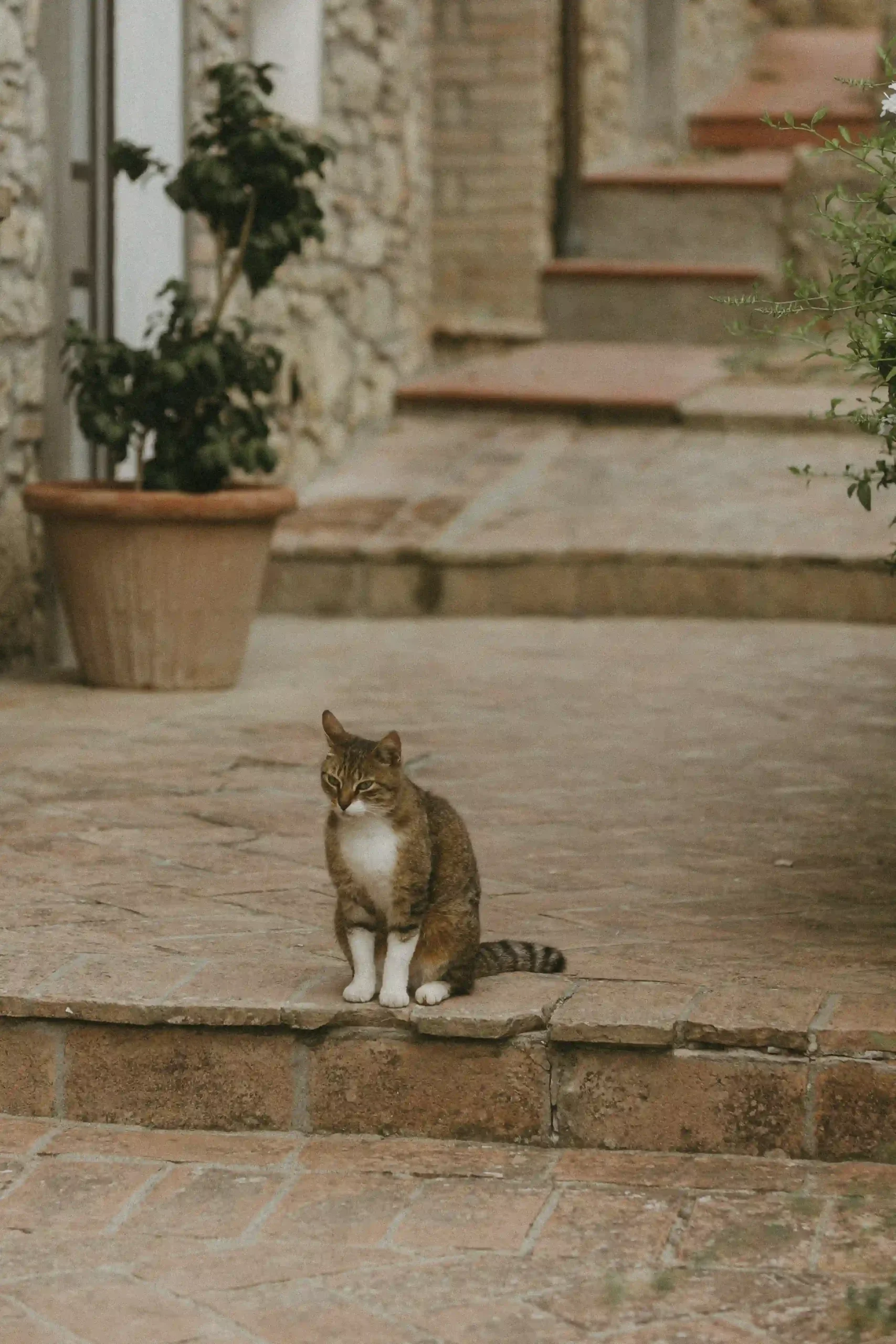 Tuscany Wedding_0.K&J_WelcomeDinner_LinhSchroeterFoto_99