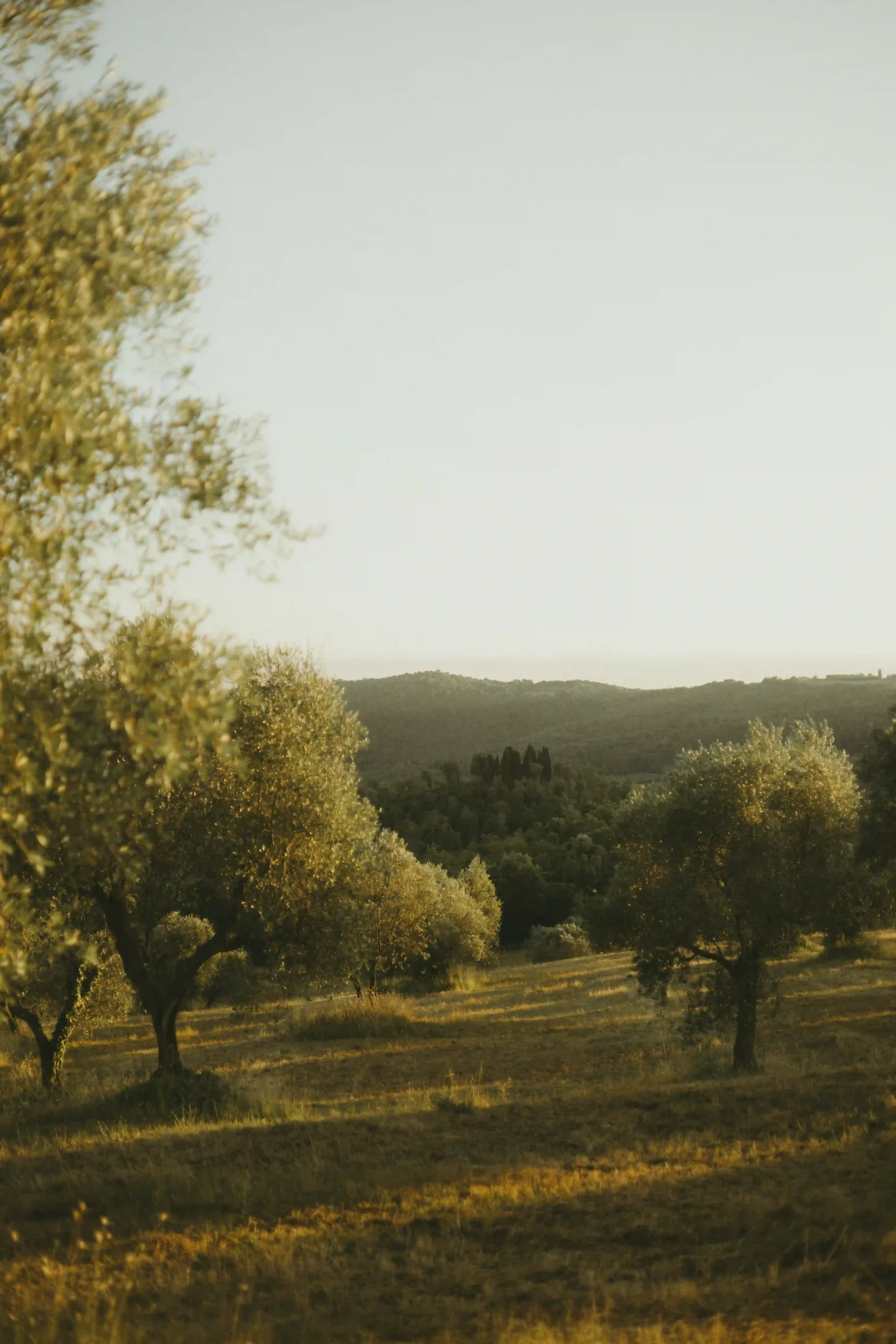 Tuscany Wedding_6.CoupleShoot_K&J_LinhSFoto_139