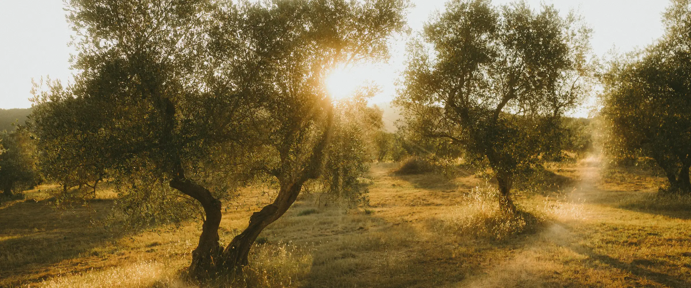 Tuscany Wedding Photographer